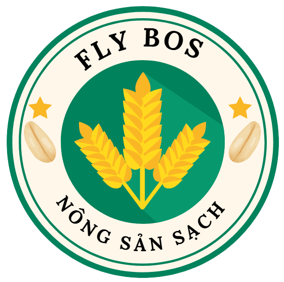 flybos.vn